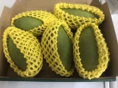 タイ産のグリーンマンゴー　5個入りのサムネイル
