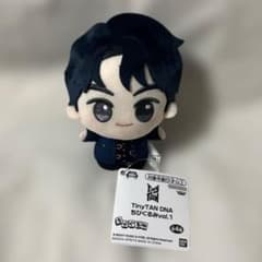 BTS TinyTAN DNA 치비구루미 vol.1 진 JIN ❸