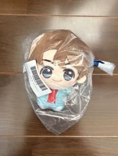 BTS TinyTAN DNA 치비구루미 Jungkook