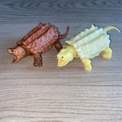 ワニガメ  ガチャのサムネイル