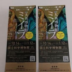 ミイラ展　国立科学博物館　２枚のサムネイル