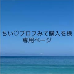 専用ページのサムネイル