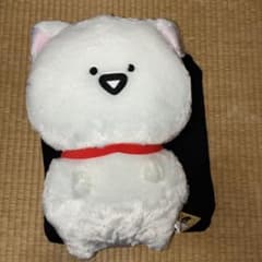 문구와 함께 고양이가 되어 봉제인형 XL 프리미엄 태그 첨부 문구씨