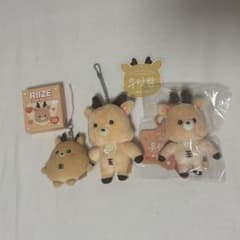 RIIZE ソンチャン ウラッバム ウラクバム ぬいぐるみ　40cm らいずし RIIZE ソンチャン ウラッバム ウラクバム ぬいぐるみ - メルカリ