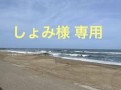 しょみ様専用のサムネイル