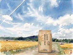 秋田県産 あきたこまち 玄米10kg 一等米のサムネイル