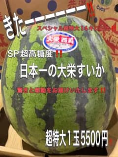 在庫残りわずか‼️デカいのきたーー‼️日本一の大栄すいかSP特大‼️1玉5500円4 本日更にデカいのきたーー‼️日本一の大栄すいかSPメガ特大‼️1玉特別