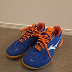 Mizuno WAVE FANG ZERO バドミントンシューズ 24.5cm - メルカリ