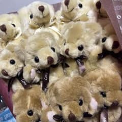 テディベアタイムのクマのブーケのサムネイル