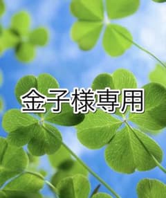 TATRAS タトラス ダウンジャケット ネイビー 160 レディースM 美品