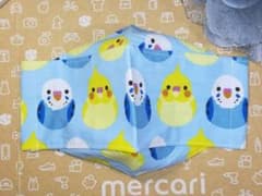 オカメインコと青セキセイインコ♡のサムネイル