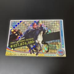タマモクロス【白い稲妻】のサムネイル