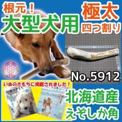 超大型犬用お試し3本セット　四つ割り＆半割り＆一本物根元　犬のおもちゃ 大型犬用 エゾ鹿の角 根元 4半割り1本 北海道産 犬のおもちゃ 59121