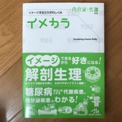 イメカラ 内分泌・代謝 イメージするカラダのしくみのサムネイル