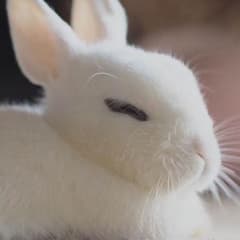 miiii様専用のサムネイル