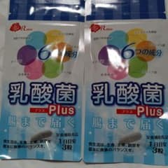 乳酸菌プラス　２袋セット　腸までとどく　 １袋90粒入　ローズコーポレーションのサムネイル