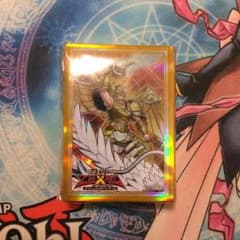 ライトロードスリーブのサムネイル