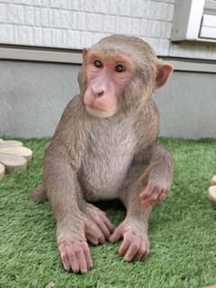 亀仙人様　専用のサムネイル