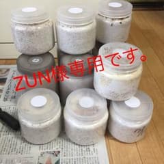 ZUN様用です。のサムネイル