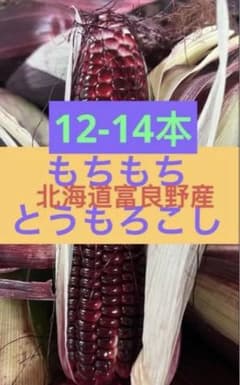 モチモチとうもろこし 12〜14本北海道富良野産のサムネイル