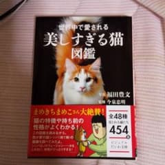 世界中で愛される美しすぎる猫図鑑のサムネイル