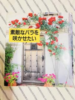 素敵なバラを咲かせたい　講談社のサムネイル