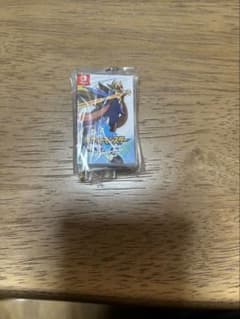 ポケットモンスター【カプセルトイ】パッケージ＆ゲームカードキーホルダー　ソードのサムネイル
