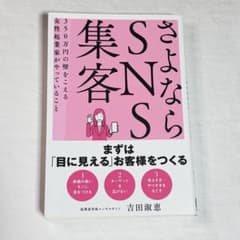 さよならSNS集客 350万円の壁をこえる女性起業家がやっていることのサムネイル