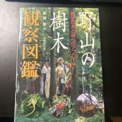 野山の樹木観察図鑑 野生の木と林へのアプローチのサムネイル
