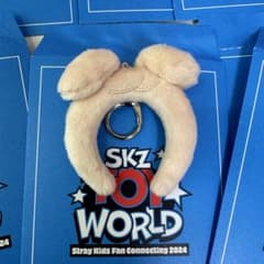 Straykids スキズ カチューシャ スンミンtoyworld ペンミのサムネイル