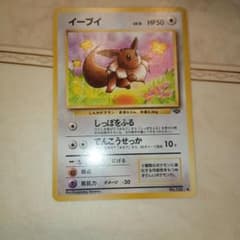 イーブイ ○ 第2弾拡張パック ポケモンジャングル 旧裏 ポケモンカード