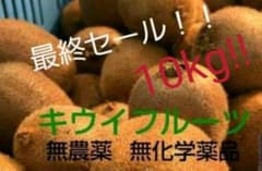 キウイフルーツ 10kg 無農薬のサムネイル