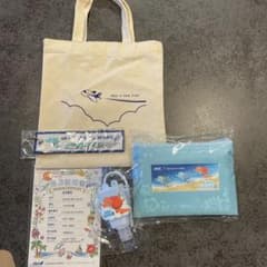 ANA A380フライングホヌ チャーターフライト搭乗記念グッズのサムネイル