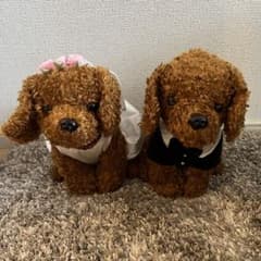 ウェルカムドール　トイプードル　結婚式　ブライダルのサムネイル