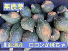 無農薬　ロロンかぼちゃ 2個セット　産地直送のサムネイル