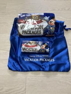 東京ディズニーリゾート 35周年 バケーションパッケージ タオル 巾着