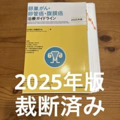 卵巣がん・卵管癌・腹膜癌 治療ガイドライン 2025年版のサムネイル