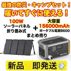 ぴいえす⭐️新品Litheli ポータブル電源 B600 & 100Wソーラ ぴいえす様専用⭐️新品Litheli ポータブル電源 B600 & 100Wソーラ