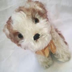 【アンティーク】シュタイフ　犬のぬいぐるみ　Molly Puppy　Steiff アンティーク】シュタイフ 犬のぬいぐるみ Molly Puppy Steiff - メルカリ