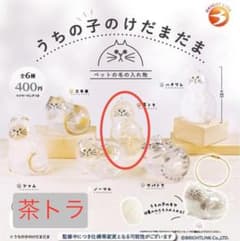 うちの子のけだまだま　茶トラのサムネイル