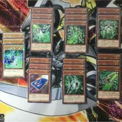 ツヨっさん様専用 PSYフレームデッキのサムネイル