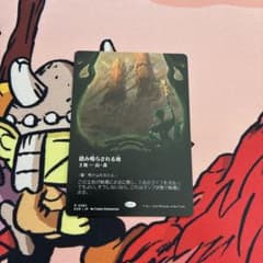 mtg 踏査　４枚　日本語　ボーダーレス　４枚 mtg 踏査 4枚 日本語 ボーダーレス 4枚