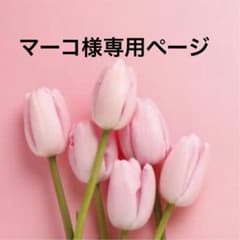 マーコ様専用ページ⭐️マスクマグネットアクセサリーのサムネイル