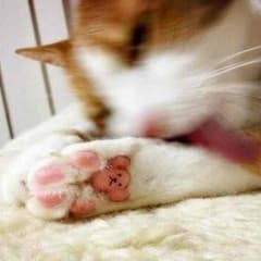 michy様 専用(^^)のサムネイル