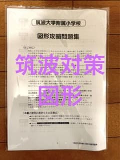 筑波大学附属小学校 図形攻略問題集 ニチガクのサムネイル