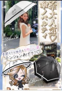 Rady ノベルティ 傘 大人気商品のサムネイル