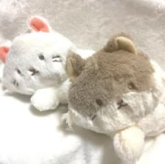 よこみぞゆりの なんでもいきもの ねこ ぬいぐるみ 2個セット