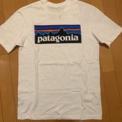 patagonia パタゴニア Tシャツ メンズ  レディースのサムネイル