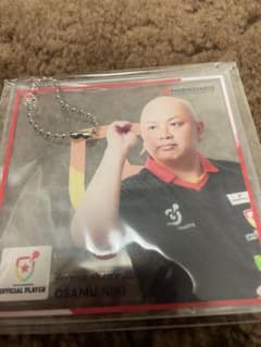 どもっち様専用　仁木治プロ、津村プロ　ランダムアクリルミニ色紙のサムネイル