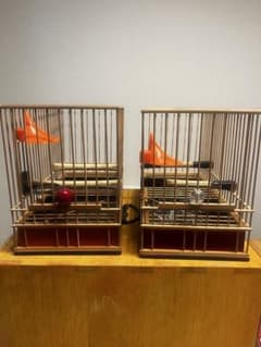 竹製 メジロ籠 鳥かご 2個セット 昭和レトロ 飼育ケージ - メルカリ